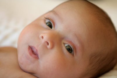 IMG_3684.jpg