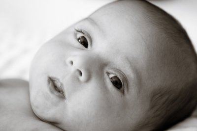 IMG_3684_bw.jpg