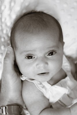 IMG_3734_bw.jpg