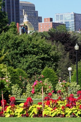 Public Garden View