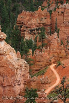 Trail in Bryce Canyon National Park II