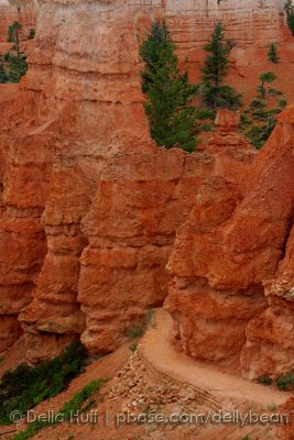 Trail in Bryce Canyon III