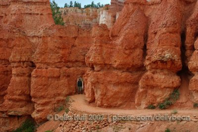 Bryce Canyon Trail Tunnel