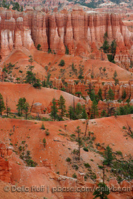 Bryce Canyon Landscape IV
