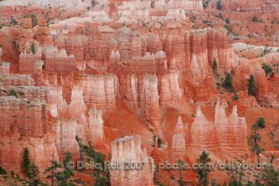 Bryce Canyon Landscape VII