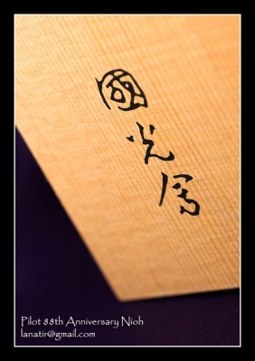 Pilot 88th Nioh