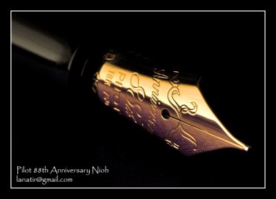 Pilot 88th Nioh
