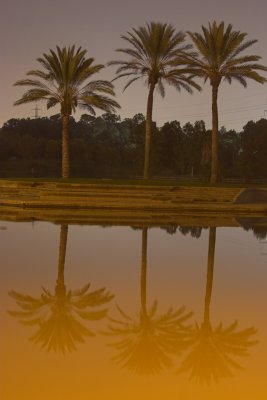 IMG_3800.jpg
