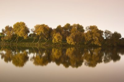 IMG_3831.jpg