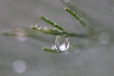 IMG_3880.jpg
