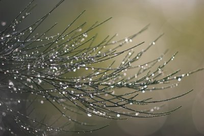 IMG_3887.jpg