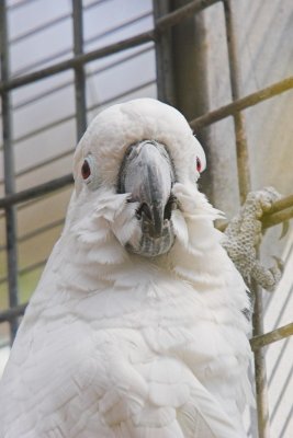 IMG_6461.jpg