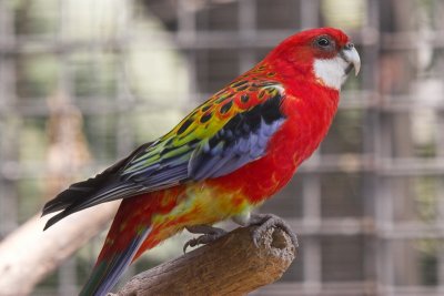 IMG_6465.jpg