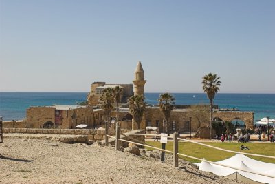 IMG_6575.jpg