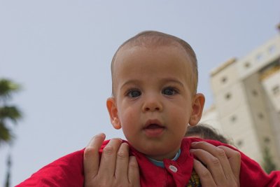 Udi Dar
