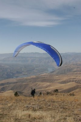 _MG_4437.jpg