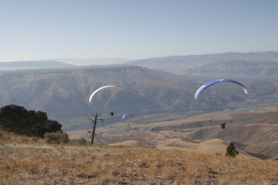 _MG_4487.jpg