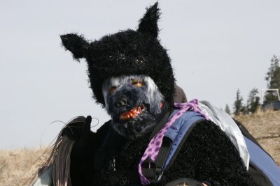 Wolf