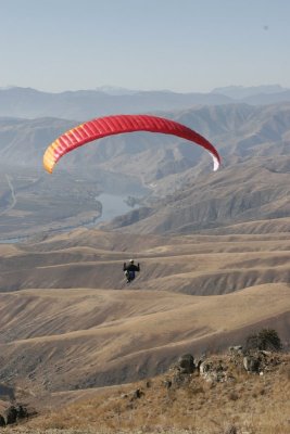 _MG_4608.jpg