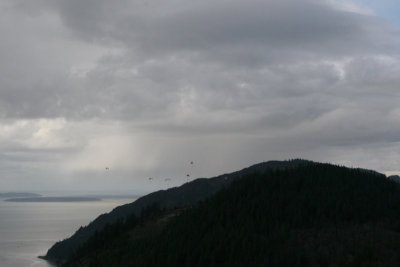IMG_5843.jpg