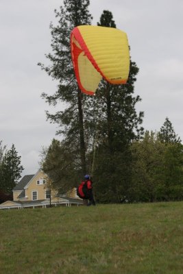 May kiting in Discovery Park