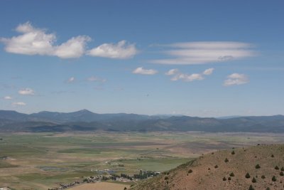 IMG_7009.jpg