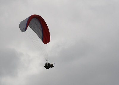 Tiger LZ landing IMG_7309.jpg