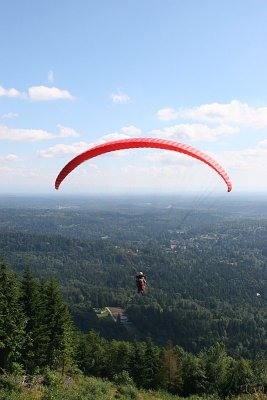 IMG_7509.jpg