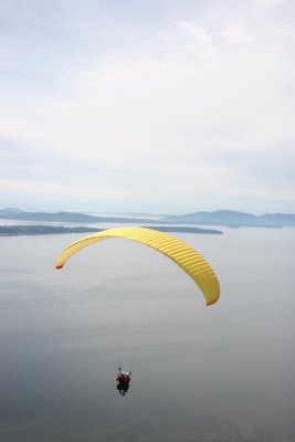 IMG_7786.jpg