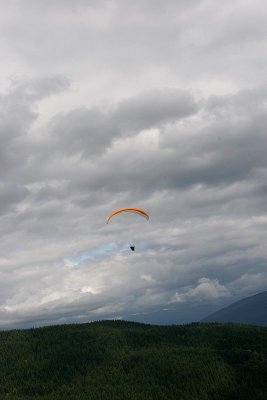 IMG_7954.jpg