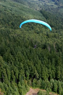 IMG_7996.jpg