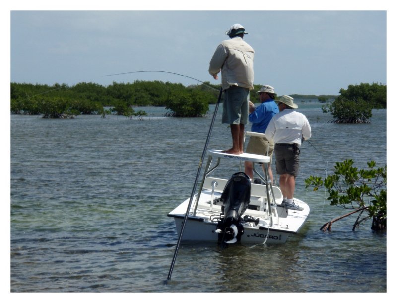 Larry with Baby Tarpon On