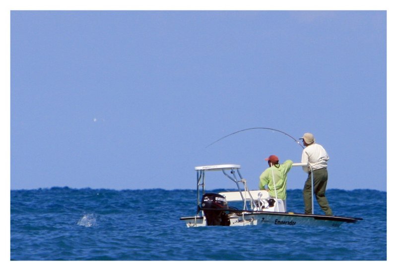 Fish On