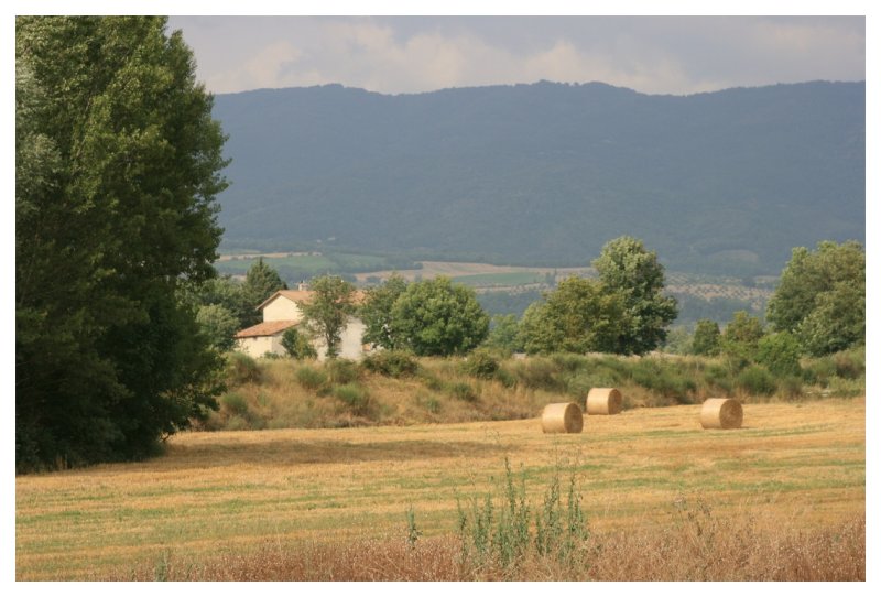 Surrounding Farmland