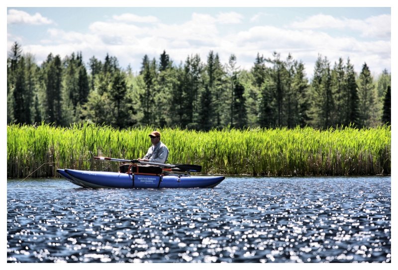 In the Reeds
