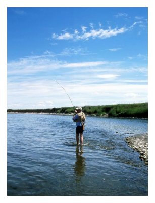 Bow River Angler