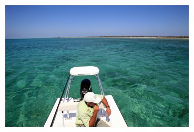 On the Bonefish Flats