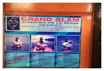 One of Many Grand Slam Posters
