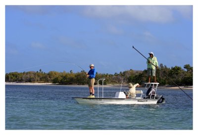 Larry Watches a Bonefish Run