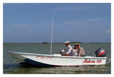 Halcon XVI