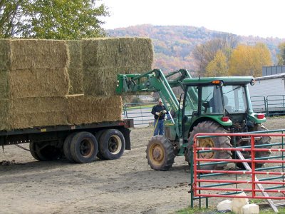 Unloading Hay