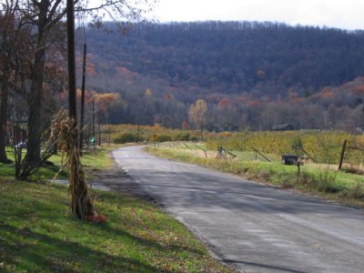 Fallbrook Road