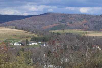Overlooking Martha Lloyd Community Services