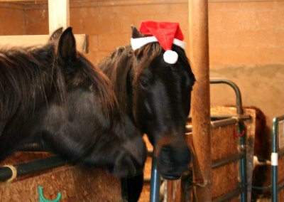 Psst, Stoney! You look kind of silly in that hat.