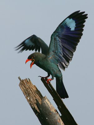 After a fight
