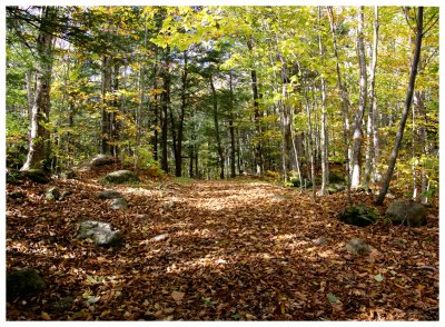 _DSC0320.jpg