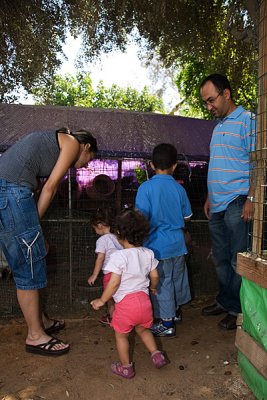 IMG_1793.jpg