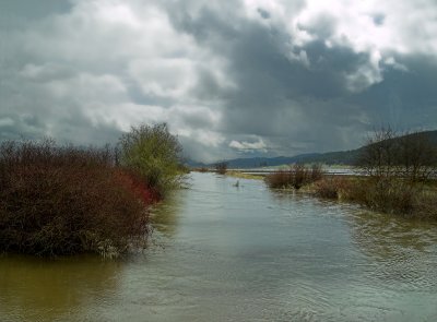 When You Farm on a Flood Plain...<br>By Sharon Engstrom