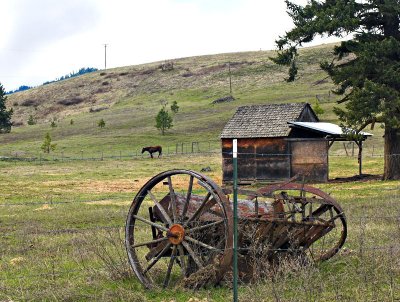 Lovely Rust, Just! by Sharon Engstrom