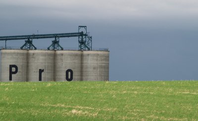 Pro by mn88